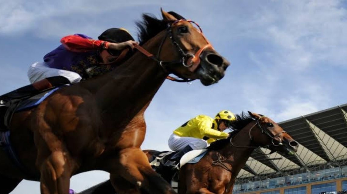 Uma corrida de cavalos